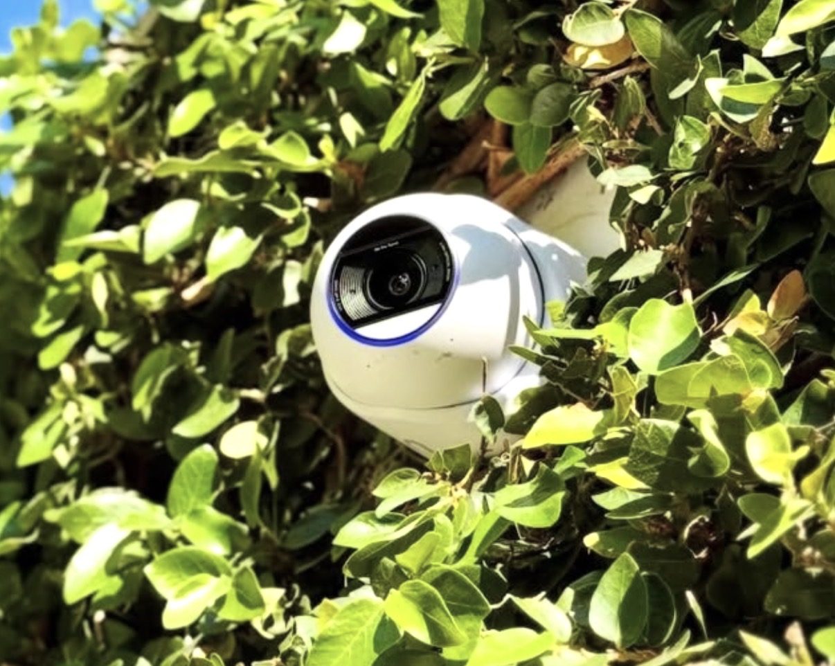 Camera tussen het groen van een heg, valt nauwelijks op