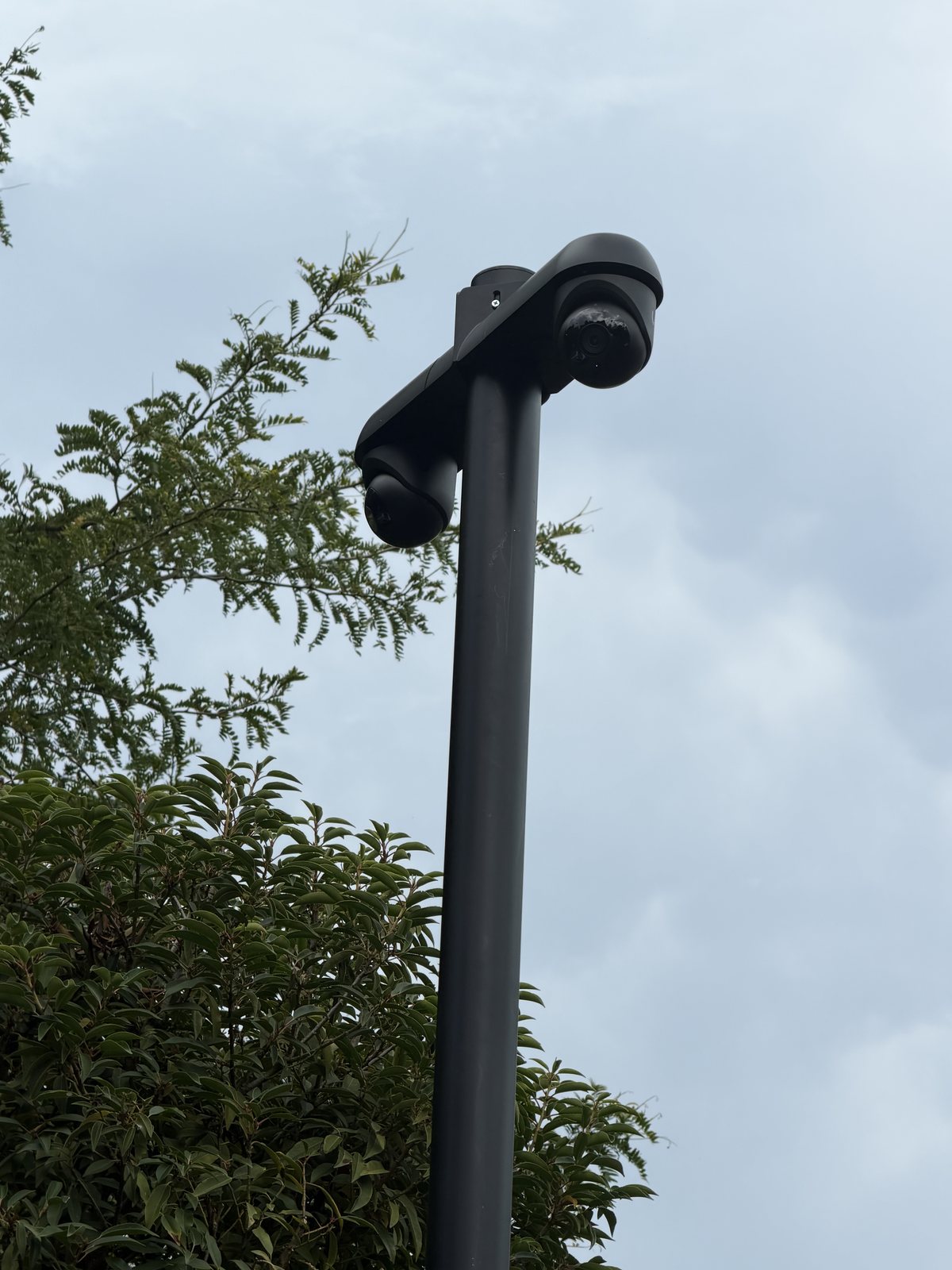 De zwarte cameramast met dwarsarm steekt net boven de haag uit