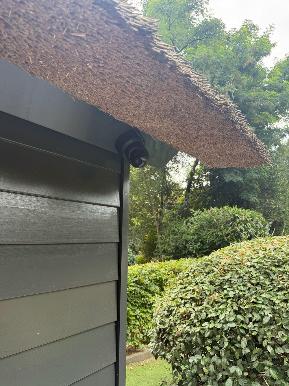 Dome-camera onder de rieten dakrand van een donkergroen bijgebouw