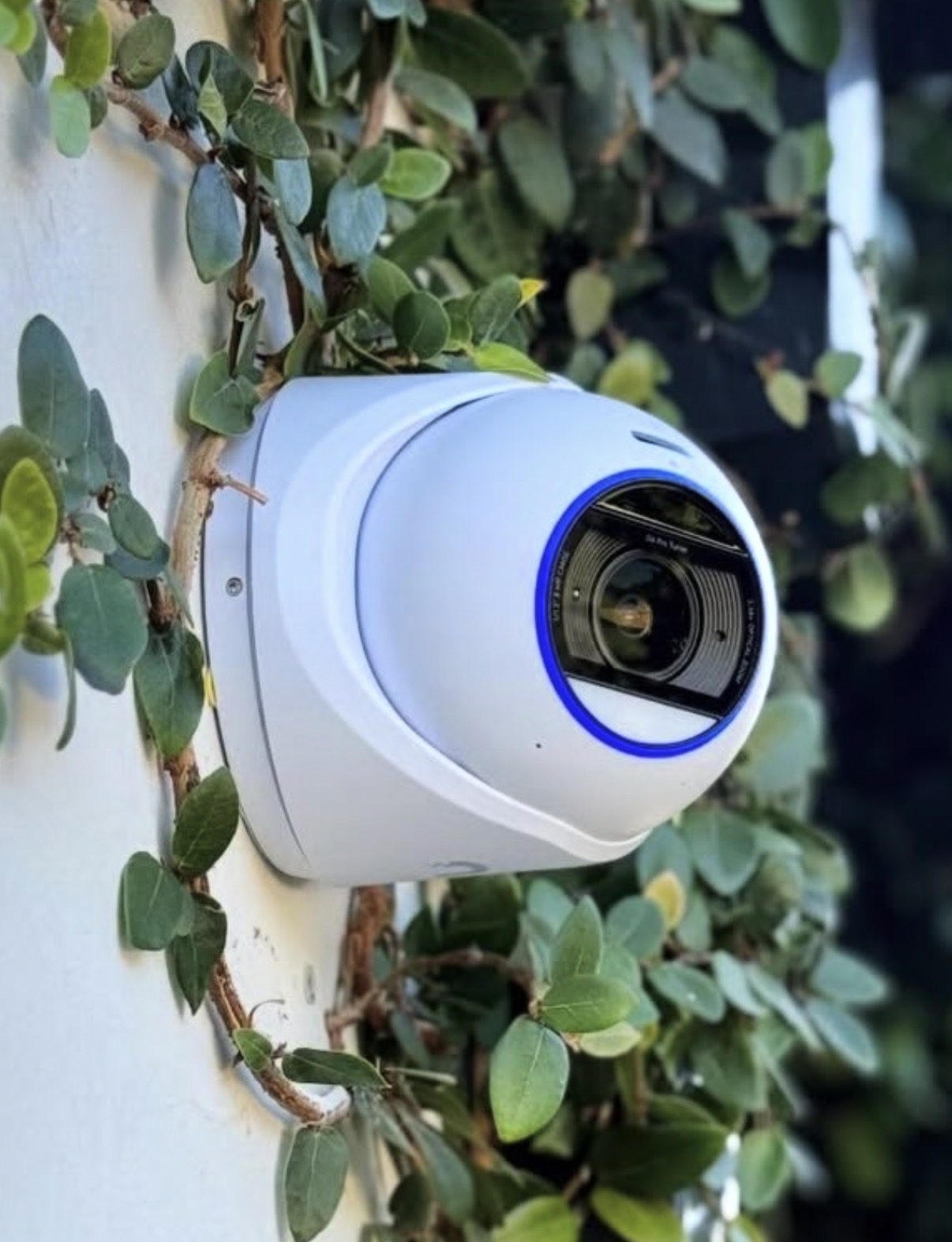 Witte turret-camera tegen een muur met klimop