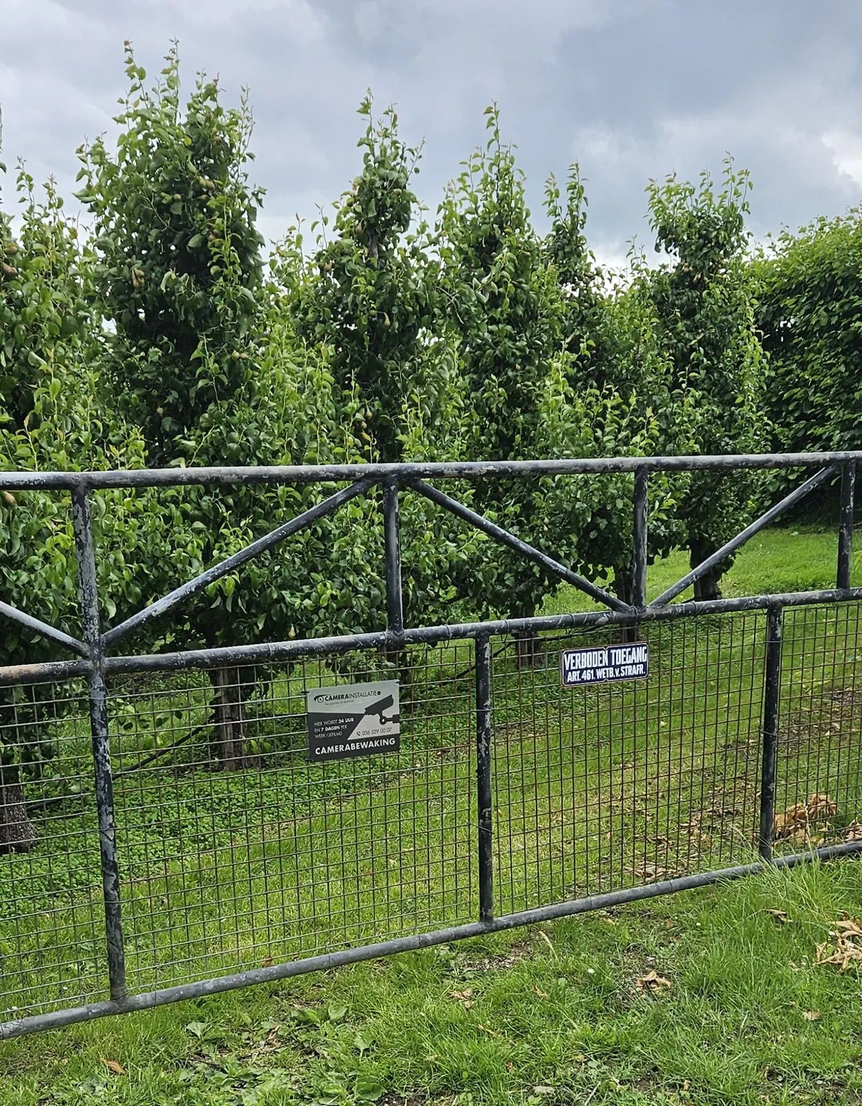 Camerabord aan een metalen hek met perenbomen erachter, in Lopikerkapel