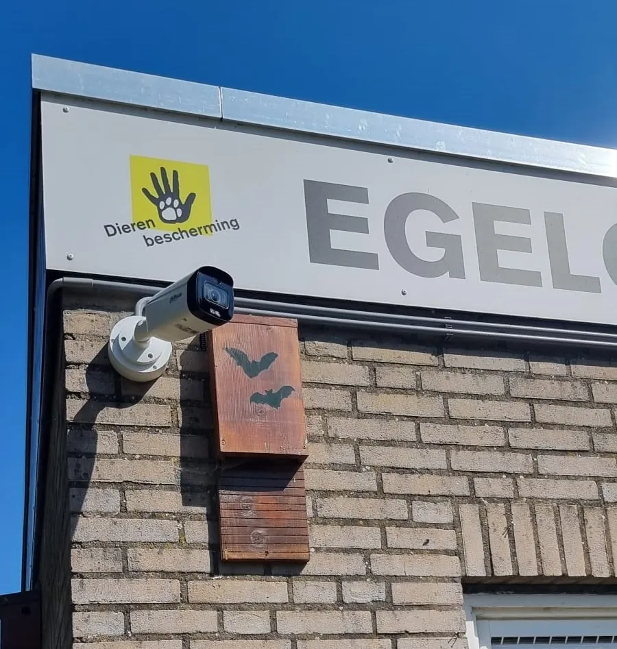 Dahua-camera aan de bakstenen gevel onder het bord van de egelopvang in Papendrecht
