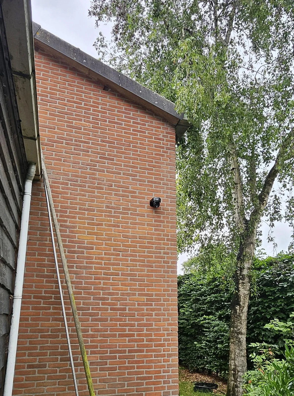 Zwarte turretcamera op de rode zijgevel in Lopikerkapel, met een berk ernaast
